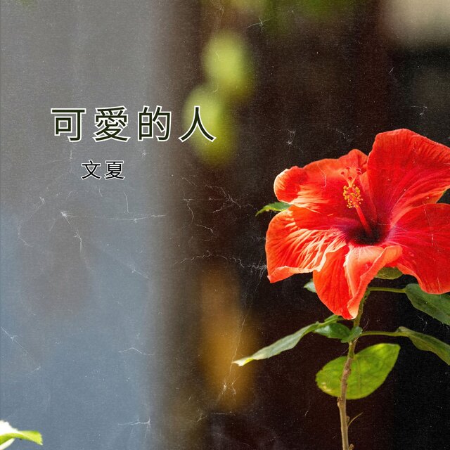 可愛的人