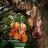 The Sound Of Peaceful Escape