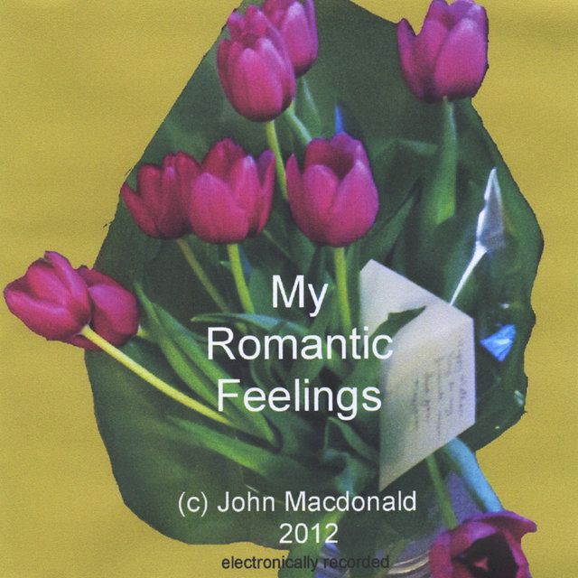 My Romantic Feelings