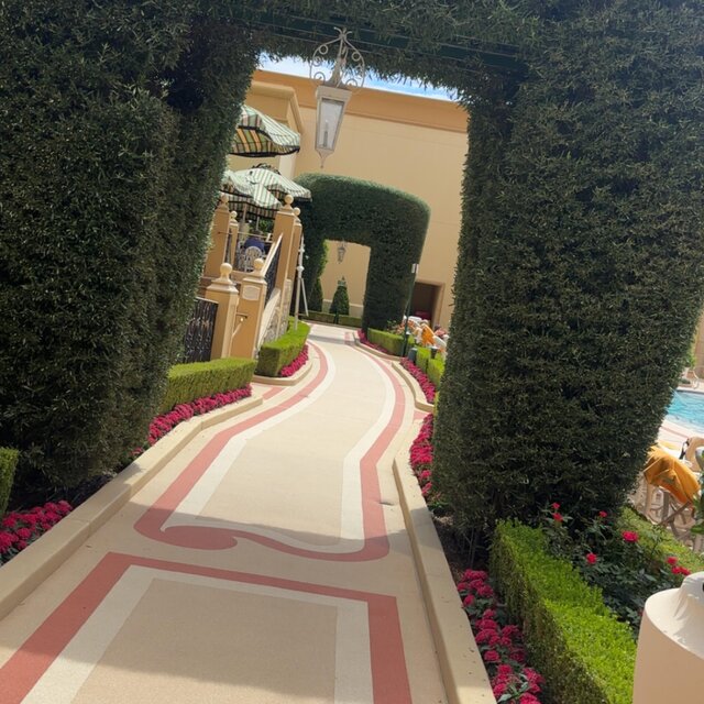 Wynn