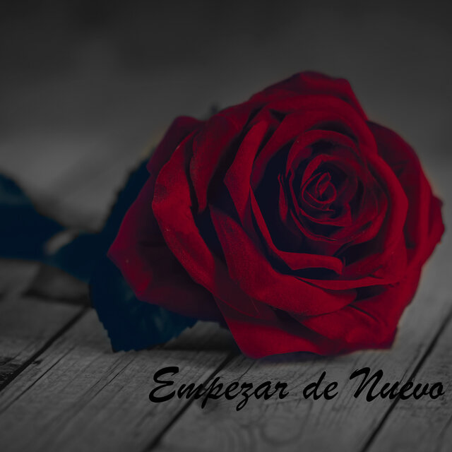 Empezar de Nuevo