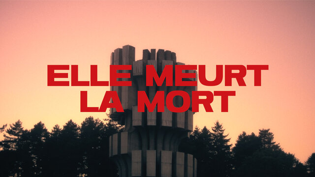 Elle meurt la mort (Visualizer)
