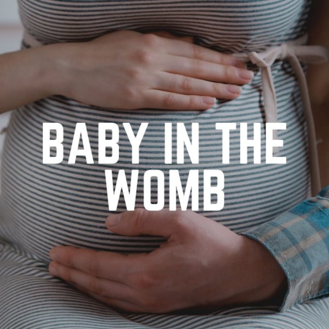 Baby in the Womb