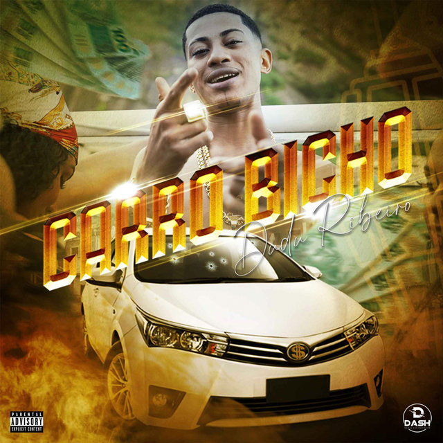 Carro Bicho