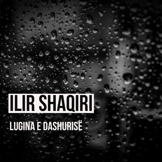 Lugina e Dashurise