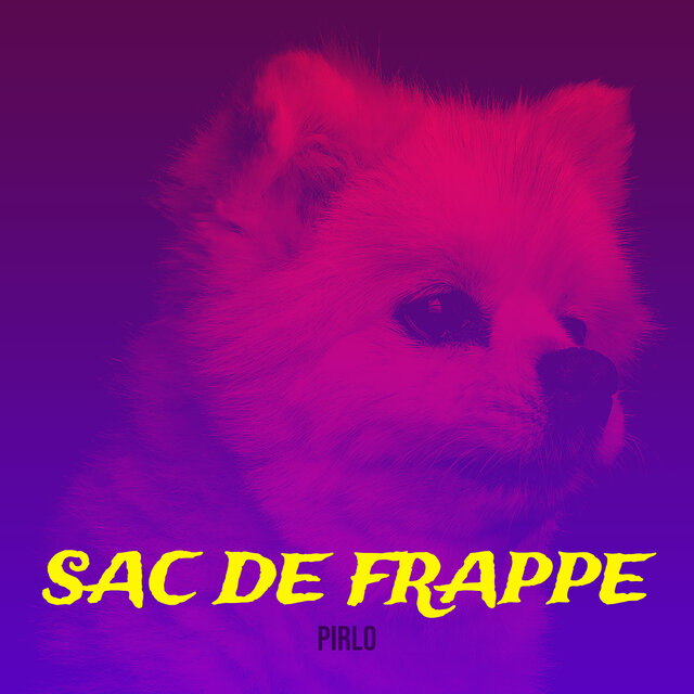 Sac de frappe