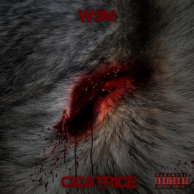 Cicatrice