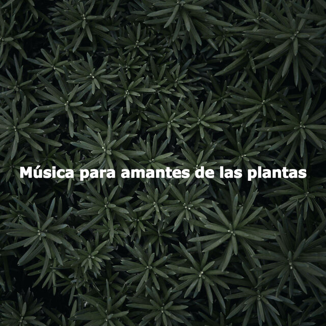 Música para amantes de las plantas