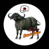 Buffalo Dance