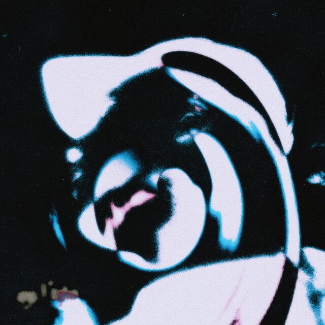 night caLL interlude