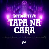 AUTOMOTIVO TAPA NA CARA