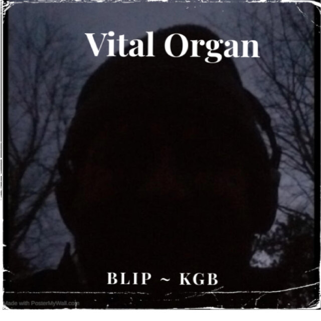 Vital Organ