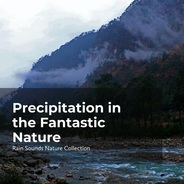 Precipitation in the Fantastic Nature
