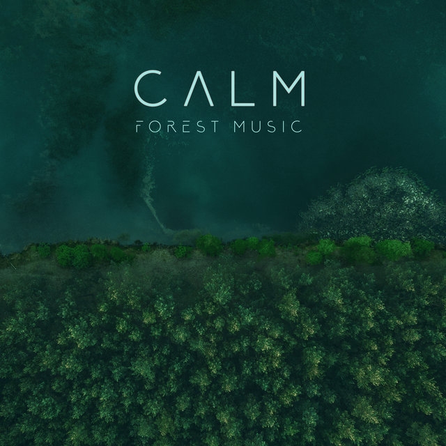 Calm Forest Music: Regenerating Green Experience, Forest Bathing, Shinrin-Yoku, Woodland Sounds for Your Inner Harmony
