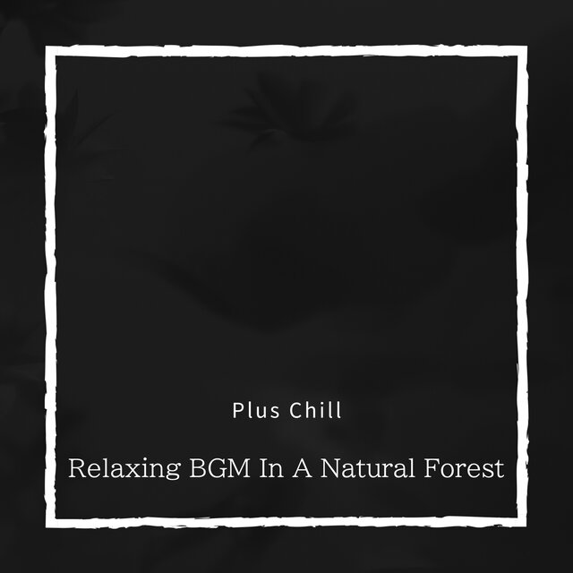 Relaxing BGM In A Natural Forest