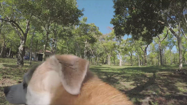 ジュリエット