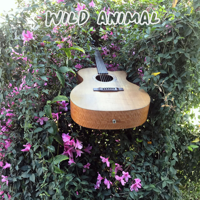 Acoustic