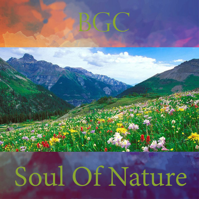 Soul of Nature