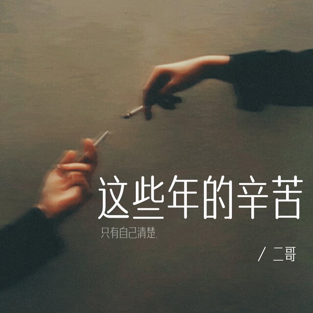 这些年的辛苦