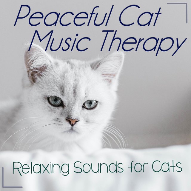 Peaceful Cat Music Therapy: Relaxing Sounds for Cats