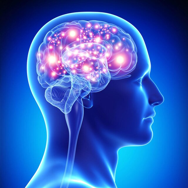 CRANIUM