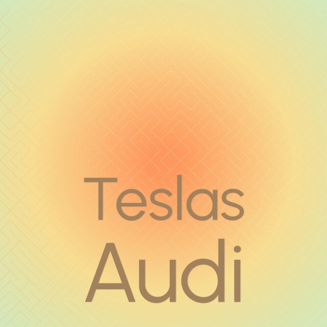Teslas Audi