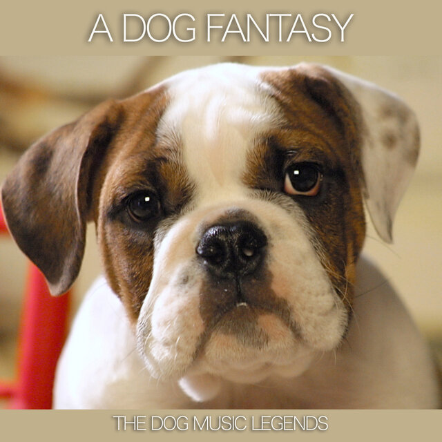 A Dog Fantasy