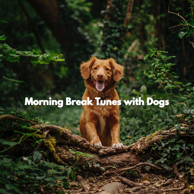 Morning Break Tunes with Dogs