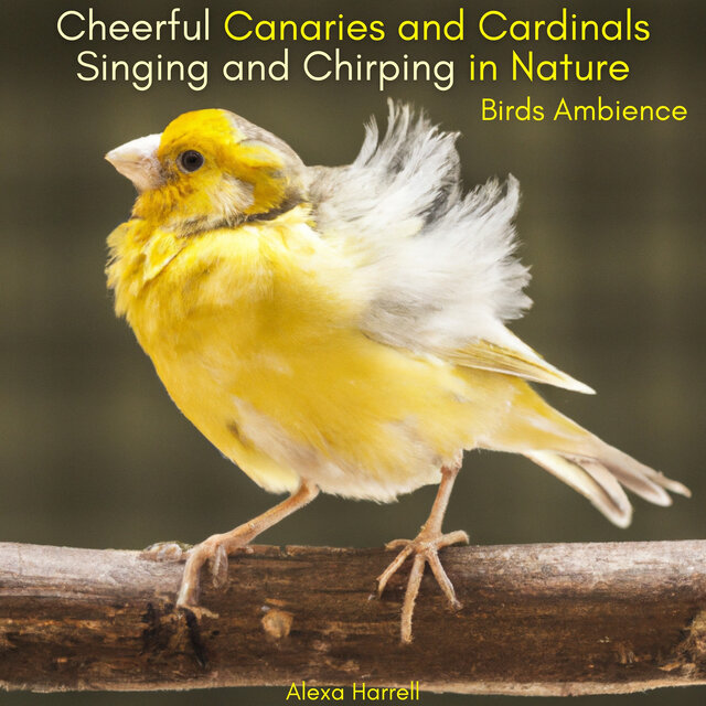 Cheerful Canaries and Cardinals Singing and Chirping in Nature - Birds Ambience