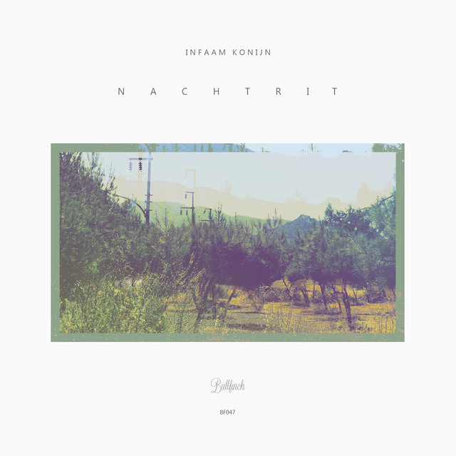 Nachtrit