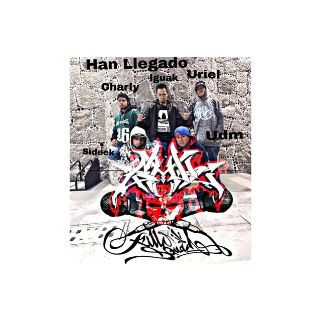 Han Llegado