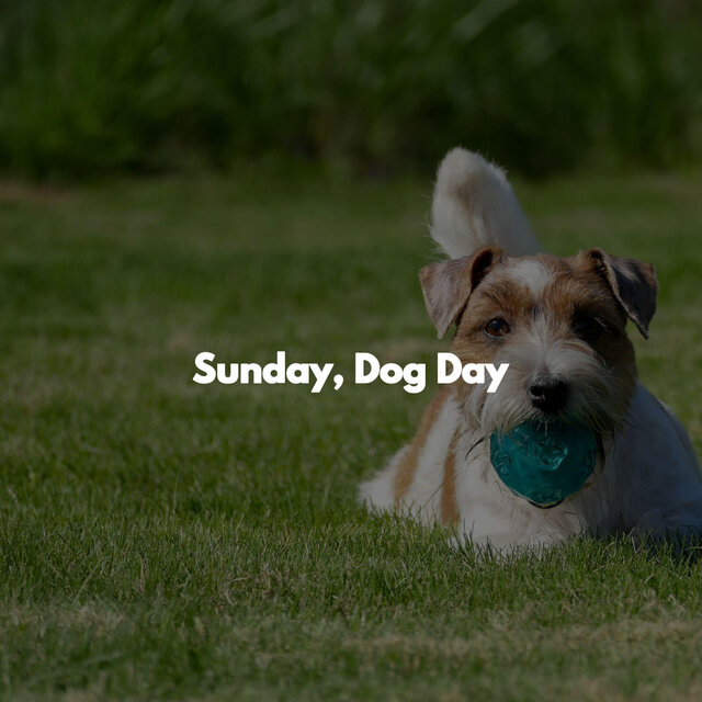 Sunday, Dog Day