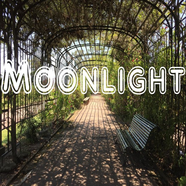 Moonlight