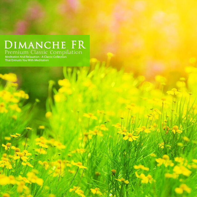 Meditation And Relaxation - A Classic Collection That Entrusts You With Meditation (명상에 마음을 맡기는 클래식 모음)