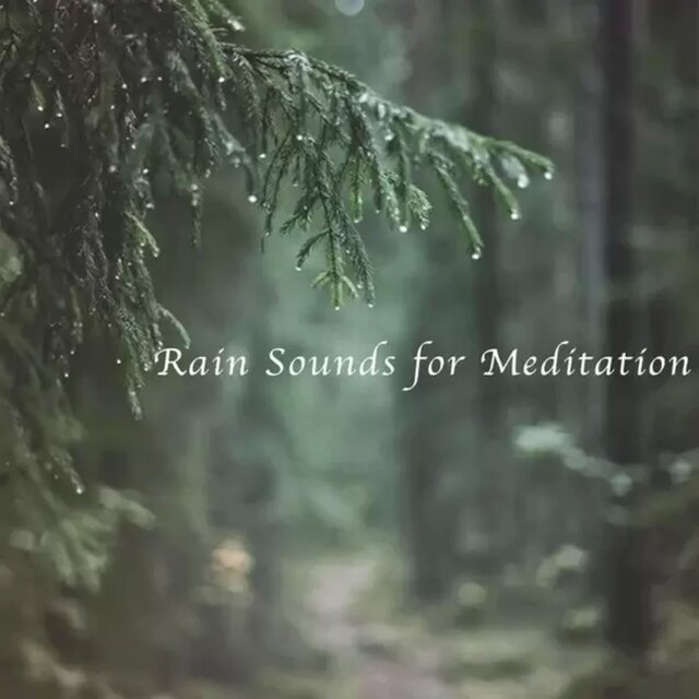 Rain Sounds for Meditation
