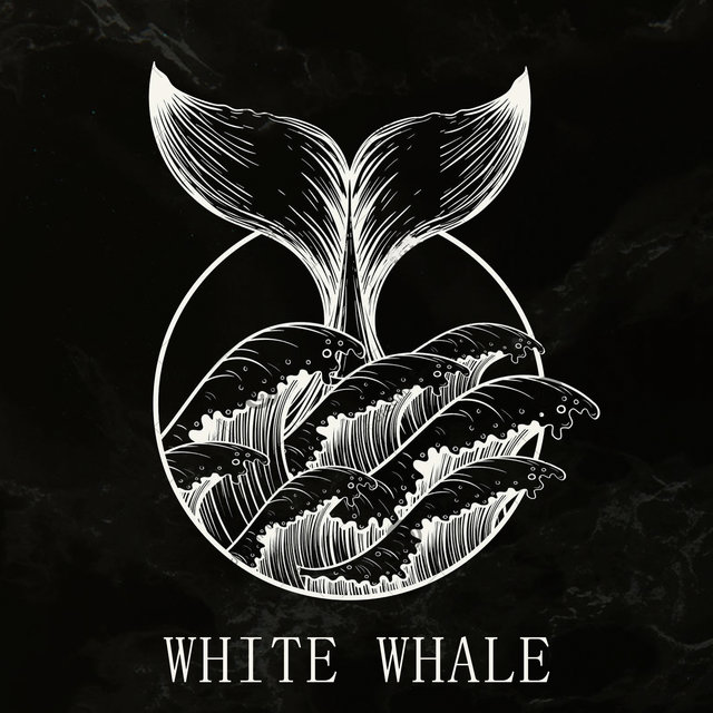 White Whale