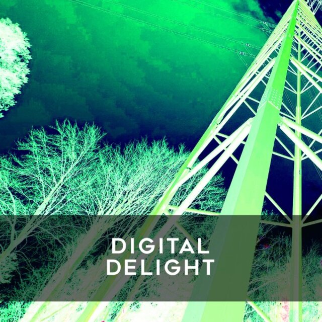 Digital Delight