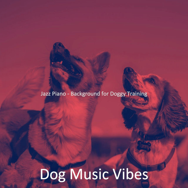 Jazz Piano - Background for Doggy Training