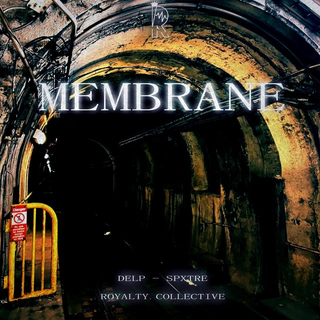 Membrane