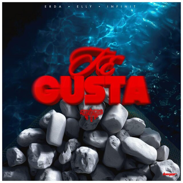 Te Gusta