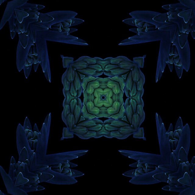 Electronically Explored