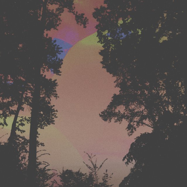 Dusk by Panda Coast on TIDAL