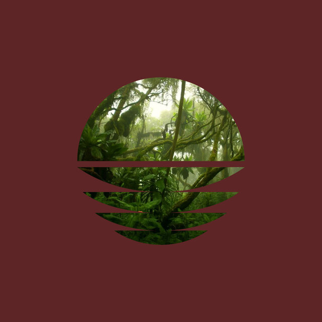 Congo Rainforest