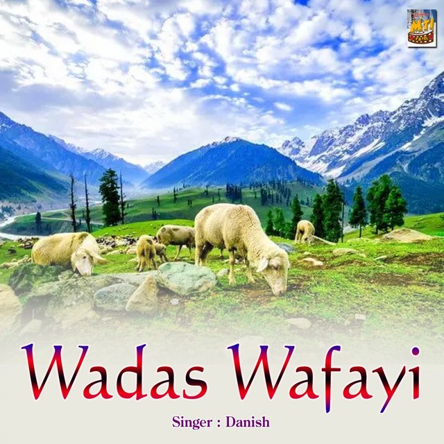 Wadas Wafayi