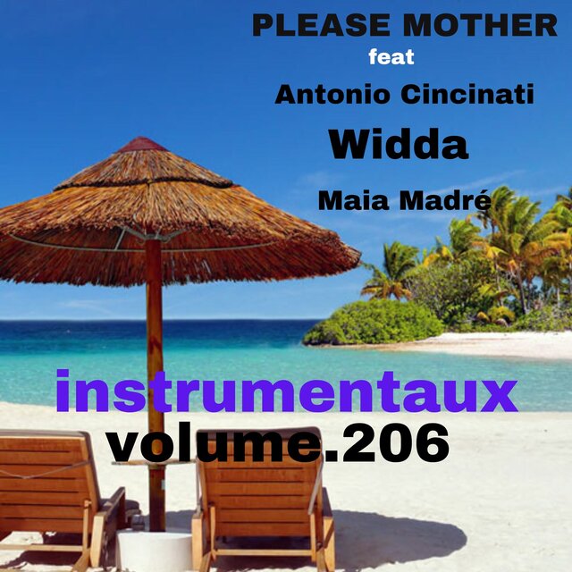 instrumentaux vol.206