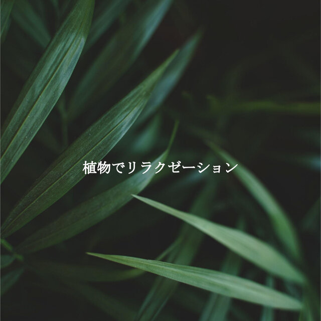 植物でリラクゼーション
