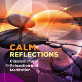 Cello Concerto No. 1 in C Major, Hob. VIIb:1: II. Adagio