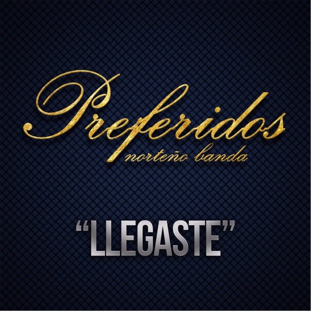 Llegaste