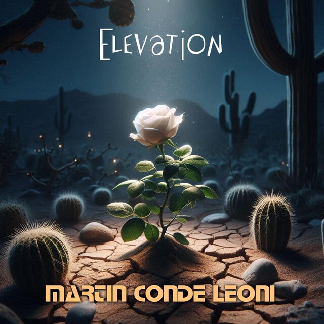 Elevation