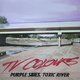 Cover art for album Purple Skies, Toxic River by TV Colours
